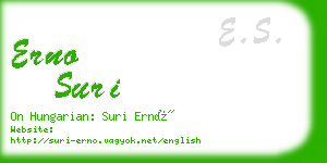 erno suri business card